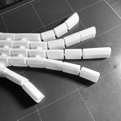 Bàn Tay bởi 3esign.eth