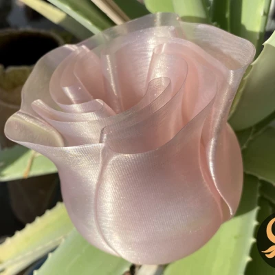 Bình hoa hồng thiết kế in chế độ xoắn ốc