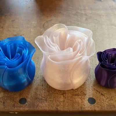 Bình hoa hồng thiết kế in chế độ xoắn ốc