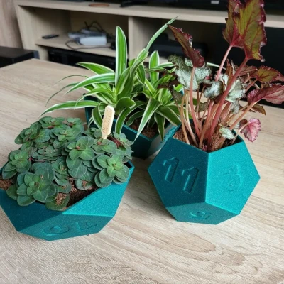 Bộ chậu cây hình xúc xắc cho trò chơi bàn RPG