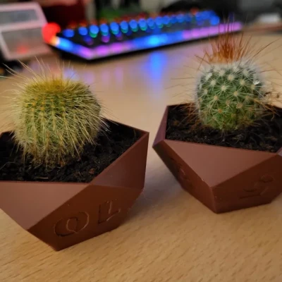 Bộ chậu cây hình xúc xắc cho trò chơi bàn RPG