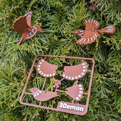 Bộ Thẻ Kit Chim Gừng Giấy