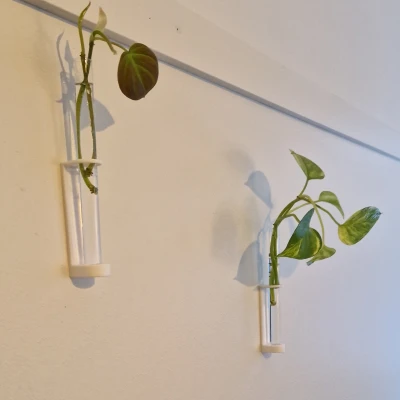 Chân đế lọ treo tường để trồng cây