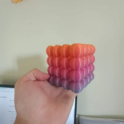 Chậu Cây Bong Bóng