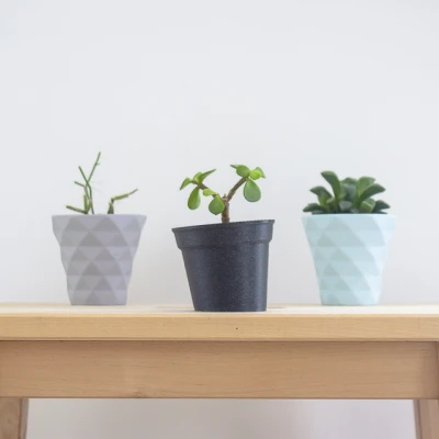 Chậu Cây Nghiêng Nhỏ