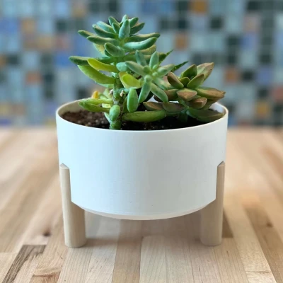 Chậu Trồng Cây Hình Tròn Phong Cách Midcentury - 6"