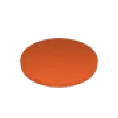 Đồng Xu 25 Cent Mỹ (US Quarter Coin)