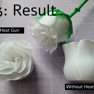 Hoa hồng biến hình với thân gai và lá đẹp