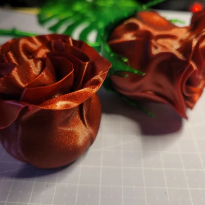 Hoa hồng biến hình với thân gai và lá đẹp