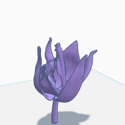 Hoa Hồng Cho Bể Cá Cảnh!