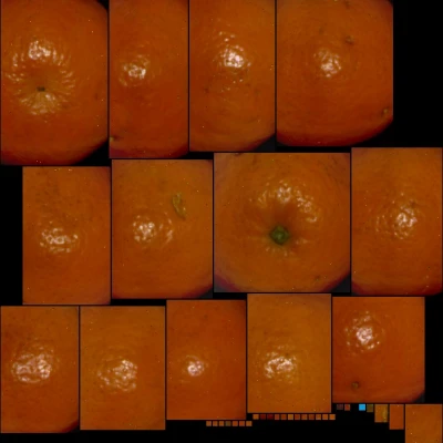 Mô hình 3D Trái Clementine (Đã scan)