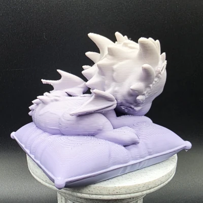 Rồng con ngủ trên gối mềm mại