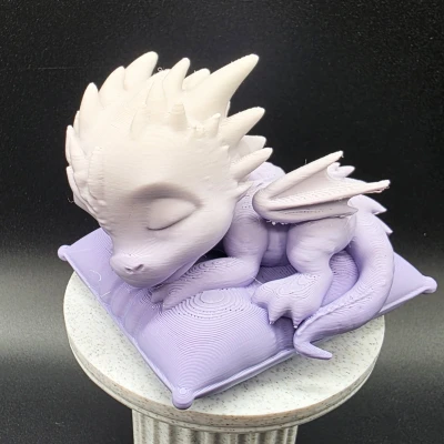 Rồng con ngủ trên gối mềm mại