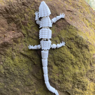 Thằn lằn khớp nối độc đáo cho trang trí nội thất