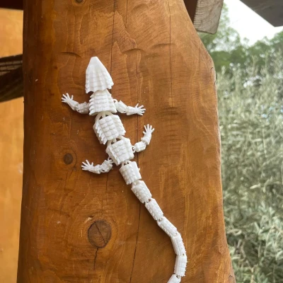 Thằn lằn khớp nối độc đáo cho trang trí nội thất