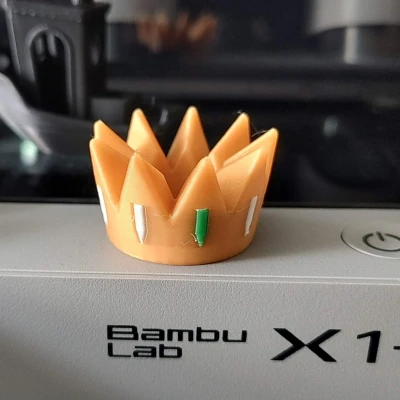 Vương miện nhiều màu sắc cho khăn quàng cổ trong hoạt động ...