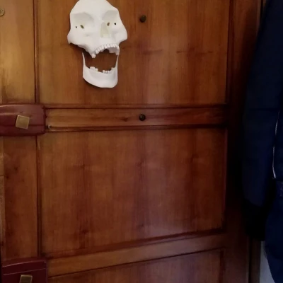 Xương khô đang tới!