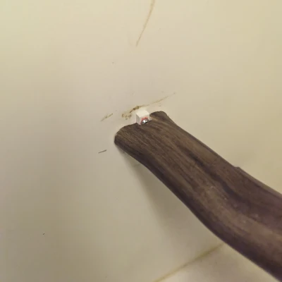 Người giữ cá rô