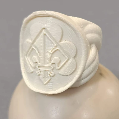 BDP Halstuch Knoten Google (Hướng dẫn và trinh sát Đức)