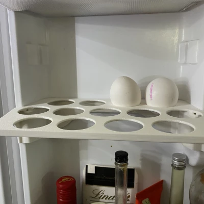 Giá đỡ khay trứng cho mô hình tủ lạnh Samsung: RLG3GQERS