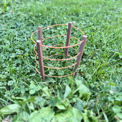 Hỗ trợ thực vật có thể điều chỉnh