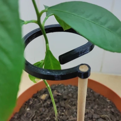 Hỗ trợ thực vật phẳng