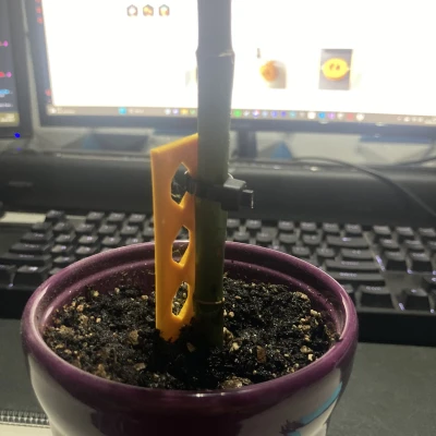 Hỗ trợ Ziptie tre