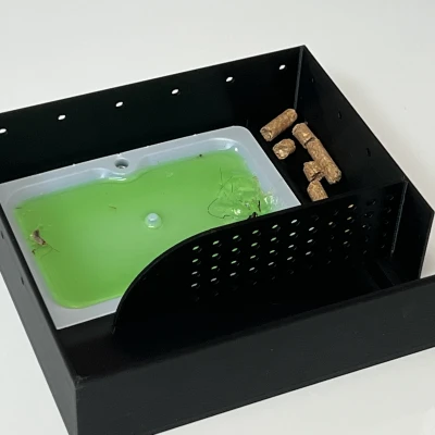 Một cái bẫy chuột tốt hơn