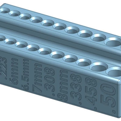 Người giữ bàn chải