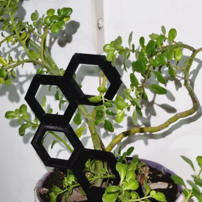 Hexagrowth: Người leo cây mô -đun tương lai