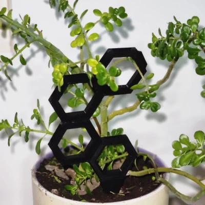 Hexagrowth: Người leo cây mô -đun tương lai