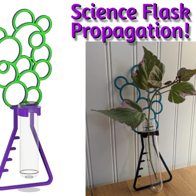 Truyền bình bong bóng