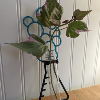 Truyền bình bong bóng