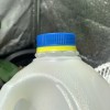 Một chiếc bình sữa gallon - có gân và phiên bản mịn - Thumbnail 1
