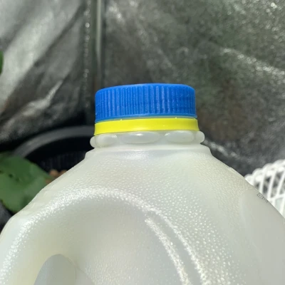 Một chiếc bình sữa gallon - có gân và phiên bản mịn