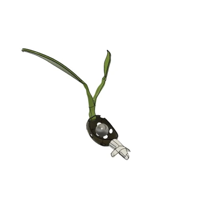 Làm nảy mầm hạt giống hạt giống và hỗ trợ