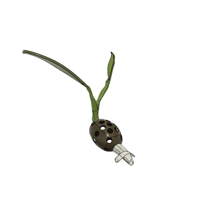 Làm nảy mầm hạt giống hạt giống và hỗ trợ