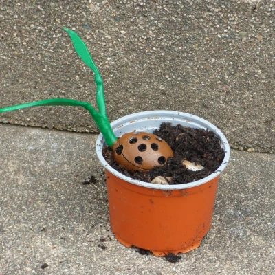 Làm nảy mầm hạt giống hạt giống và hỗ trợ