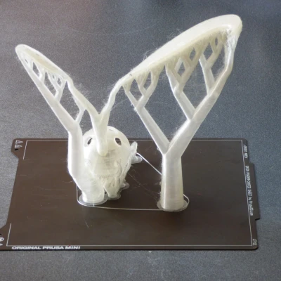 Làm nảy mầm hạt giống hạt giống và hỗ trợ