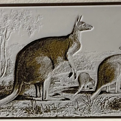 Kangaroos (Macropus Rufus) - Bản in Hueforge