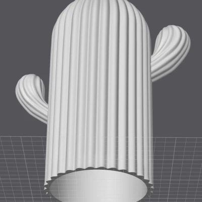 Xương rồng mỏng hơn