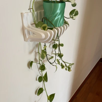 Lộn ngược kệ và nồi