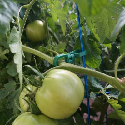 Móc đôi với khớp xoay