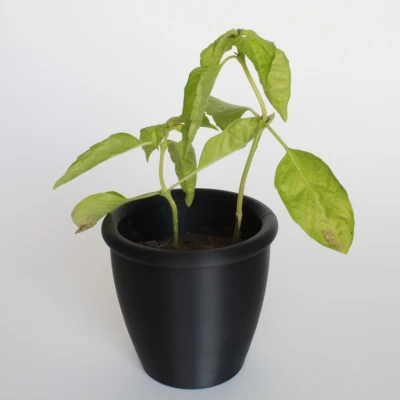 Trồng chậu/người trồng với lỗ thoát nước