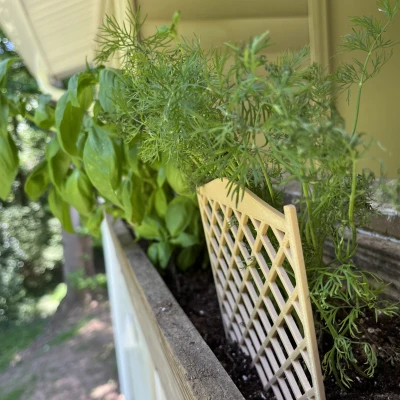 Mạng thu nhỏ để hỗ trợ thực vật