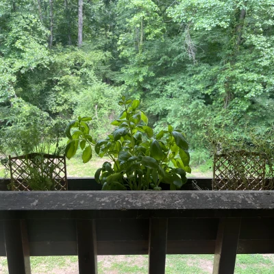 Mạng thu nhỏ để hỗ trợ thực vật