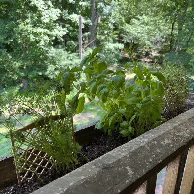 Mạng thu nhỏ để hỗ trợ thực vật