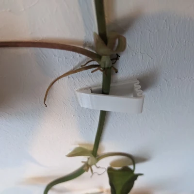 Người giữ tường