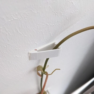 Người giữ tường