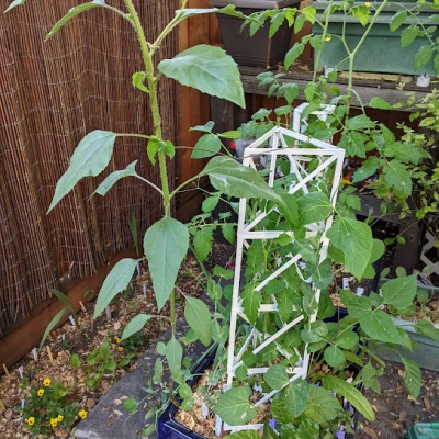 Giàn hình tam giác được tham số hóa để leo cây (hoặc sử dụng thú vị khác)